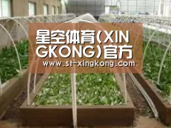 环境展示五