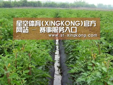 种植基地三