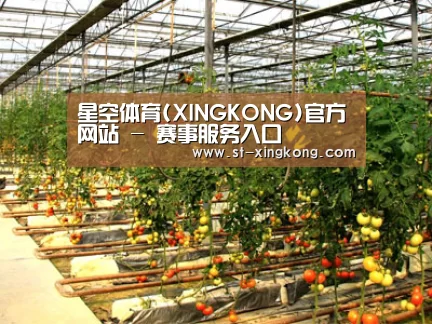 种植基地二(图1)