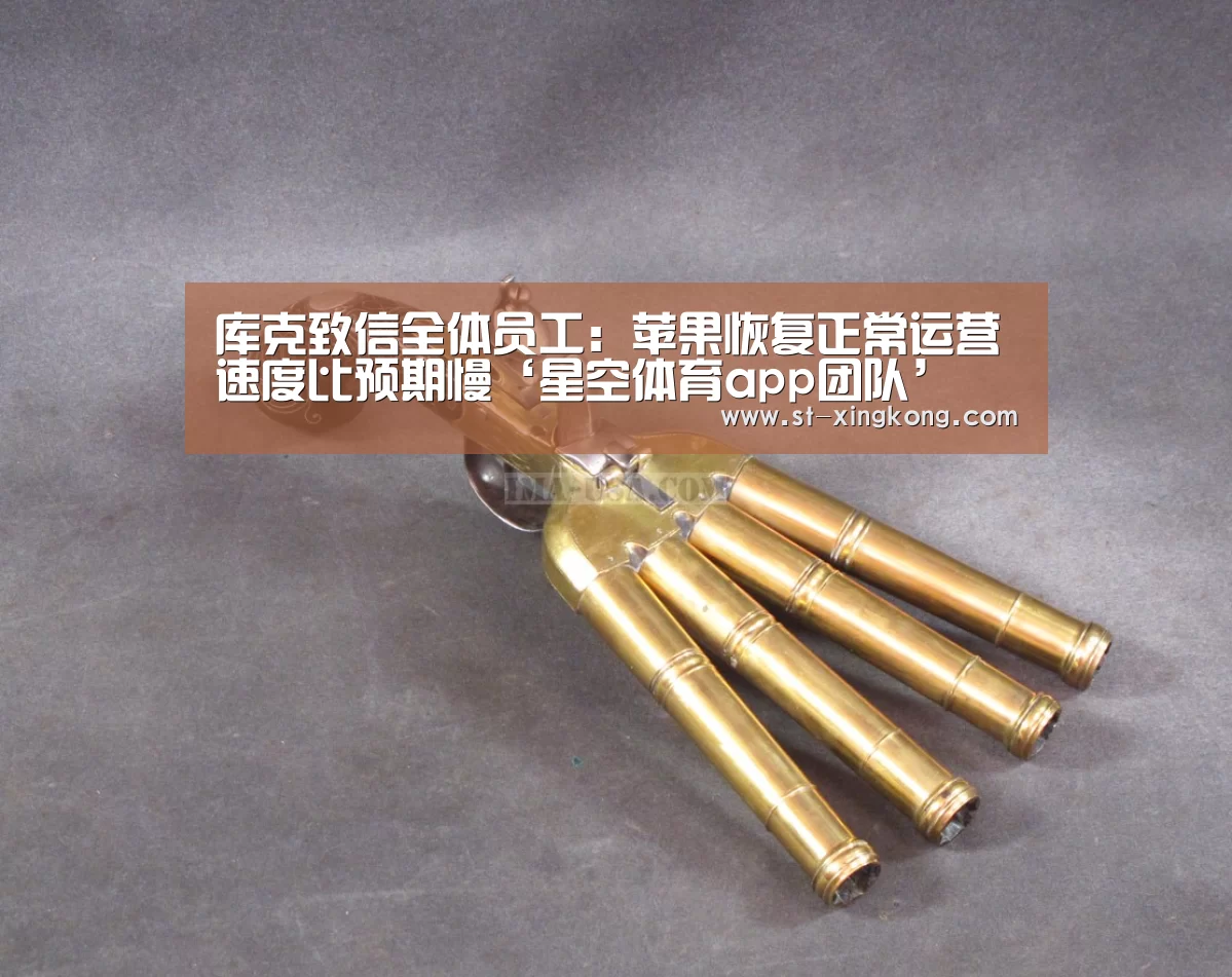星空体育app公司