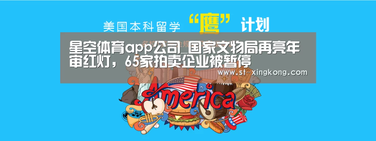 星空体育app团队