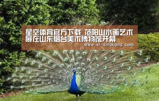 星空体育app团队