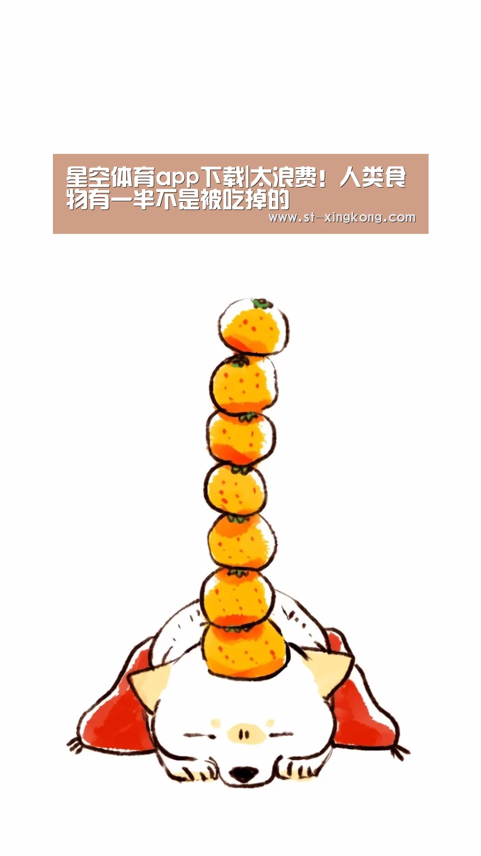 星空体育app团队