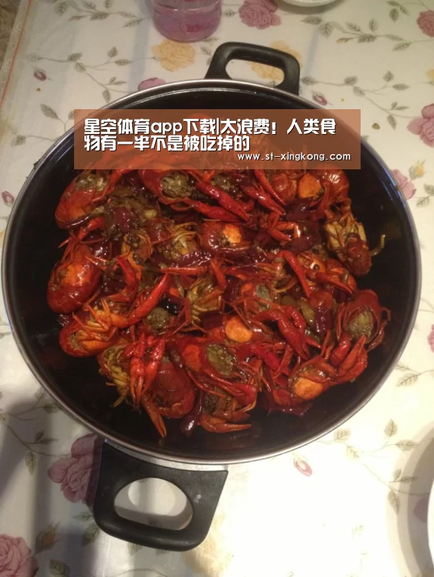星空体育app公司