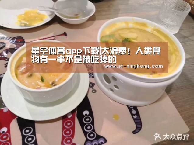 星空体育app团队