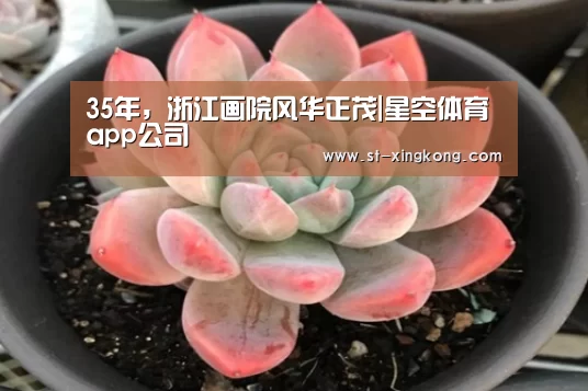 星空体育app团队