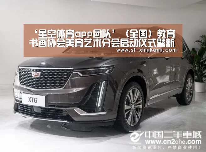 ‘星空体育app团队’(全国)教育书画协会美育艺术分会启动仪式暨新闻发布会在京举行(图1) 星空体育app公司