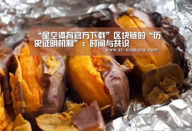 “星空体育官方下载”区块链的“历史证明机制”:时间与共识(图2) 星空体育官方下载