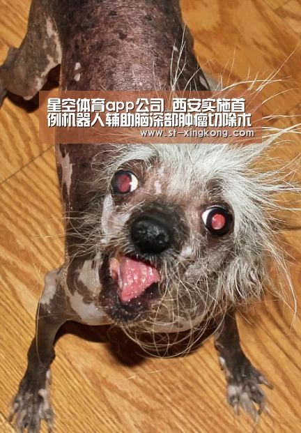 星空体育官方下载